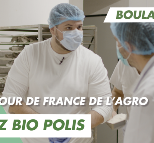 Devenir boulanger chez BioPolis qui embauche à Aubagne