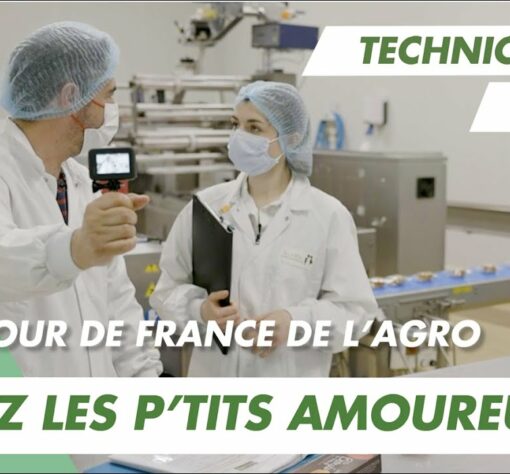 Immersion vidéo découverte métier recrutement marque employeur RH