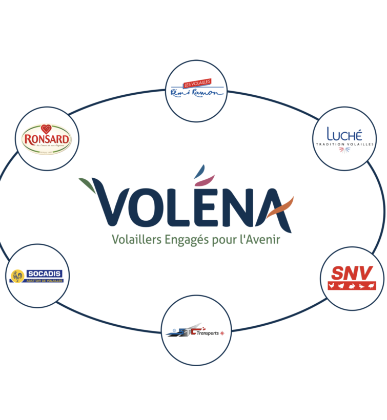 Pourquoi travailler
chez SNV - Volena (groupe LDC) ?